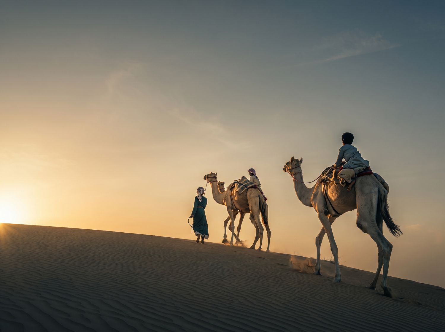 Camels crossing the desert